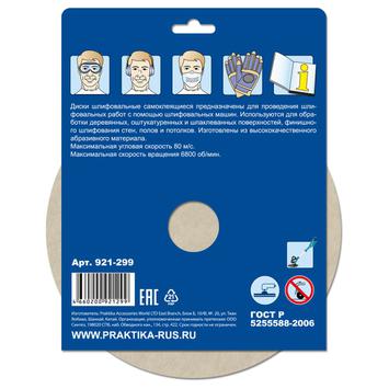 Круги шлифовальные на липкой основе ПРАКТИКА БЕЗ отверстий 225 мм, P  40 (5шт.) картонный подвес (921-299)
